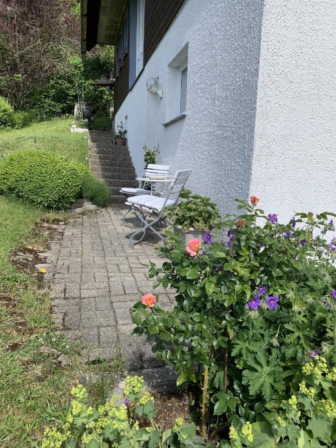 Ferienhaus Rotzinger هينترتزارتن المظهر الخارجي الصورة
